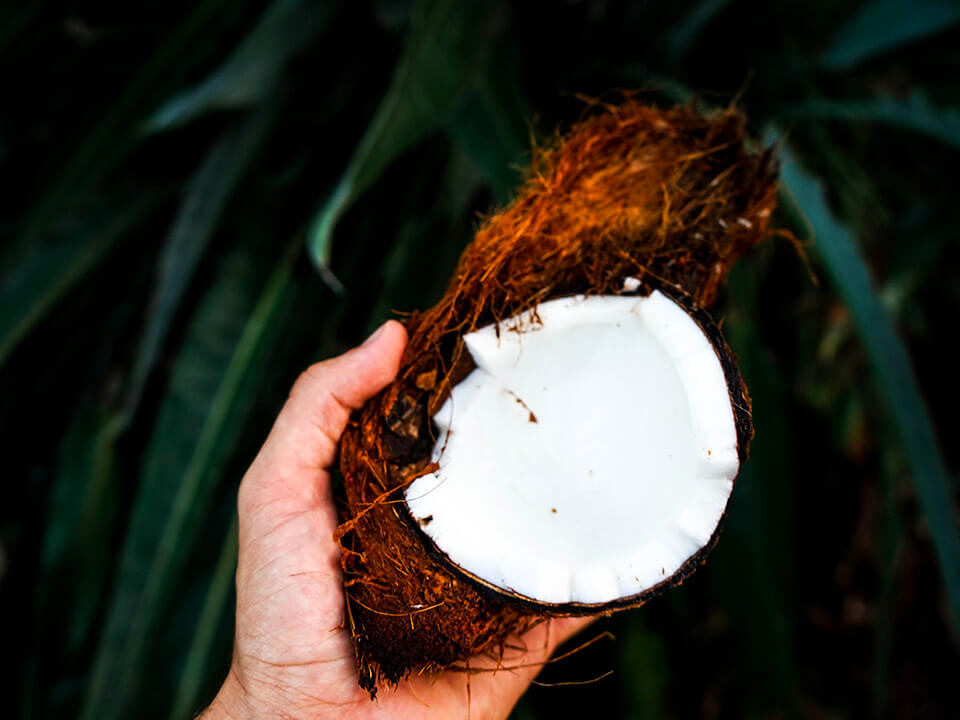 Ajoutez de l'huile de noix de coco à votre routine quotidienne